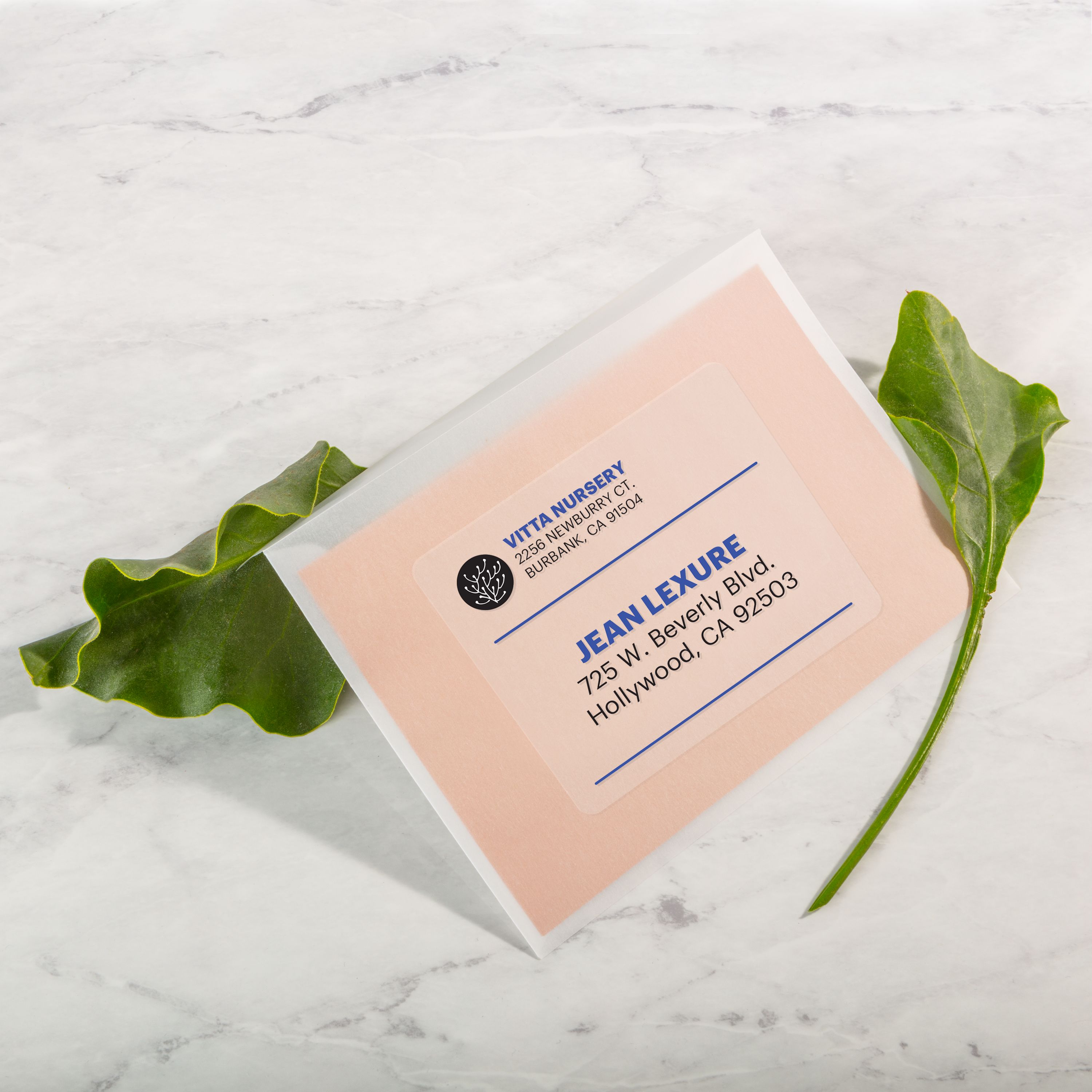 Easy Peel® Shipping Labels with Sure Feed™ 5664 | Avery
